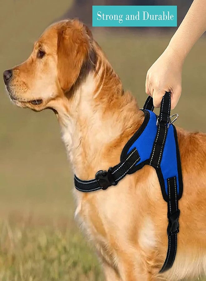 KittuPet Dog Harness, Adjustable Dog Body Belt for Large Small Medium Dogs and cat Rabbit All Breeds Animal (Medium, Blue) - Image 2